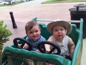 Babies in the Cart Love To Drive